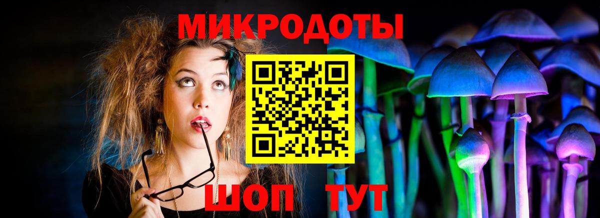 Псилоцибиновые грибы прущие грибы  Вход с VPN  Трёхгорный 